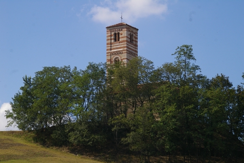 Veduta della fitta vegetazione arborea circostante la Chiesa romanica dei Santi Nazario e Celso a Montechiaro d'Asti