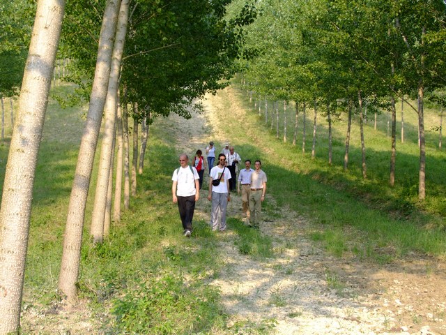 Camminata dei partecipanti alla II Giornata del paesaggio nella campagna di Montechiaro d'asti per raggiungere la Chiesa romanica di Santa Maria di Pisenzana (Foto  di Paola Grassi).