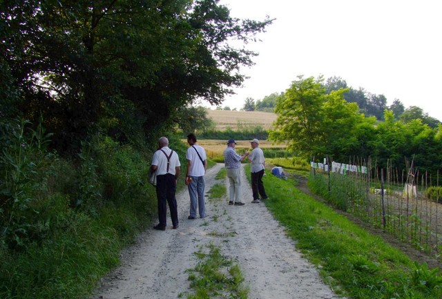 Camminata dei partecipanti alla II Giornata del paesaggio nella campagna di Montechiaro d'asti per raggiungere la Chiesa romanica di Santa Maria di Pisenzana (Foto  di Paola Grassi).