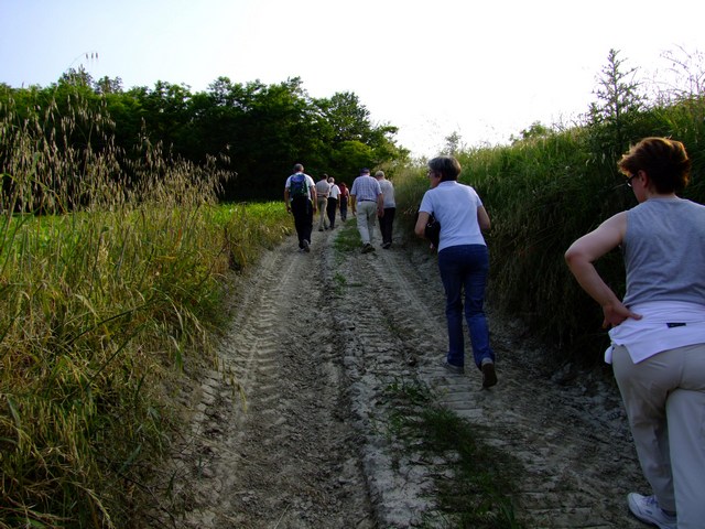 Camminata dei partecipanti alla II Giornata del paesaggio nella campagna di Montechiaro d'asti per raggiungere la Chiesa romanica di Santa Maria di Pisenzana (Foto  di Paola Grassi).