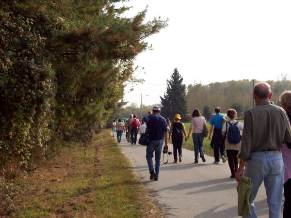 Partecipanti in marcia lungo il cammino alla scoperta delle Chiesette della Valtriversa (Foto Matteo Devecchi).