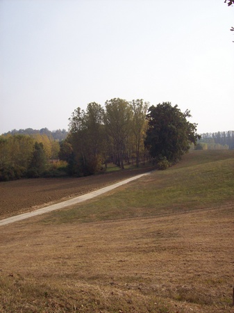 Paesaggi di naturalità della Valtriversa.