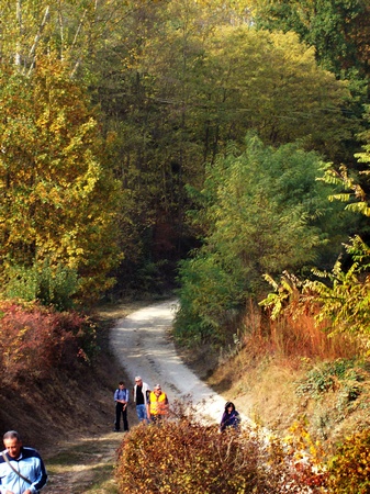 Paesaggi di naturalità della Valtriversa.
