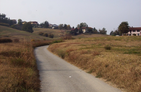 Paesaggi agrari della Valtriversa.