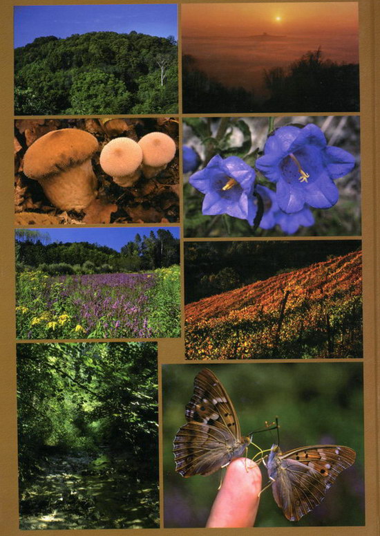 Volume di Franco Correggia "Ambienti naturali, ecomosaici e paesaggi culturali di un frammento di campagna astigiana. Spunti e tracce per un ecoitinerario fra colline, vallate, boschi, prati, stagni, sorgenti, ruscelli, fossili, sentieri, vigneti, campi, cascine, chiese e castelli del territorio di Mondonio, Pino d