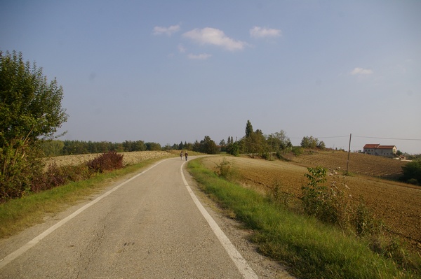 Suggestivo paesaggio agrario a Morialdo nel comune di Castelnuovo Don Bosco.