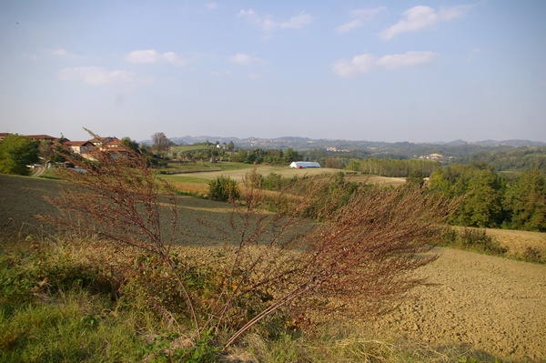 Suggestivo paesaggio agrario a Morialdo nel comune di Castelnuovo Don Bosco.