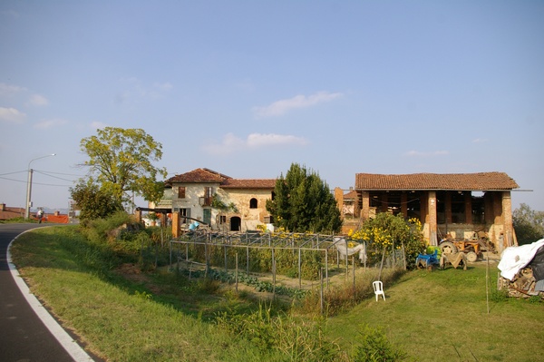 Suggestivo paesaggio agrario a Morialdo nel comune di Castelnuovo Don Bosco.