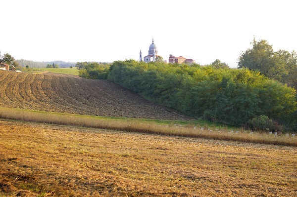 Suggestivo paesaggio agrario in cui si inserisce la basilica salesiana nel comune di Castelnuovo Don Bosco.