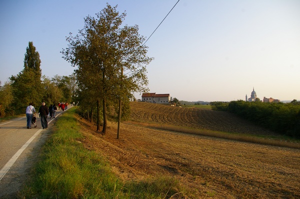 Suggestivo paesaggio agrario in cui si inserisce la basilica salesiana nel comune di Castelnuovo Don Bosco.