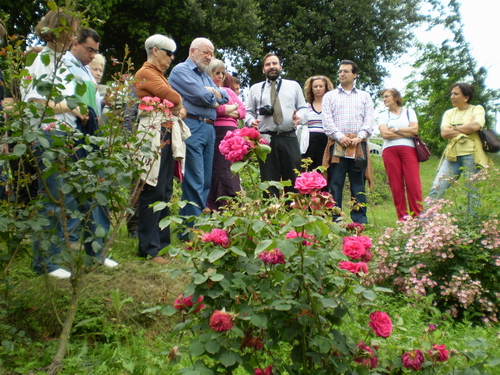  Gruppo di appassionati cultori delle rose in Visita al Roseto di Serra Perno (Foto Laura Nosenzo)