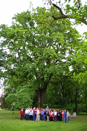 Foto ricordo dei partecipanti alla Visita al giardino del Castello di San Martino Alfieri nell'ambito della rassegna VerdeTerra 2008.