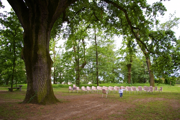 Veduta della quercia monumentale presente nel parco di SanMartino Alfieri.