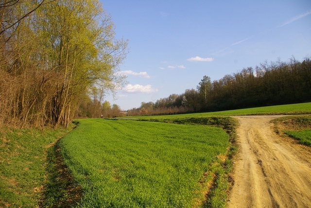 Foto%20Valmanera%20-%20Frazione%20di%20Asti_02.jpg