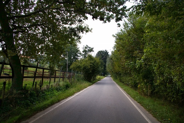 Veduta delle aree boscose lungo la strada di Valmanera.