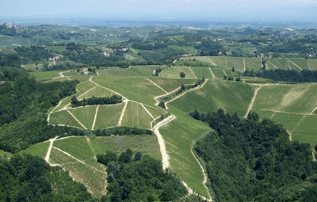 Paesaggi astigiani di eccezionale valore da salvaguardare anche attraverso nuove e più attente soluzioni di intervento a livello progettuale e di pianificazione territoriale (Veduta aerea delle colline vitate a Castel Rocchero - Foto Mark Cooper - Concessione all'uso da parte della Cassa di Risparmio di Asti).