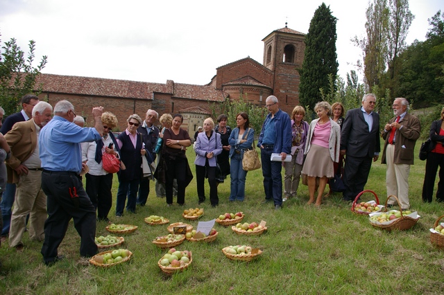  Momento dedicato alla visita al frutteto e agli assaggi delle numerose varietà di mele, illustrate dal curatore della collezione il Sig. Dorella.