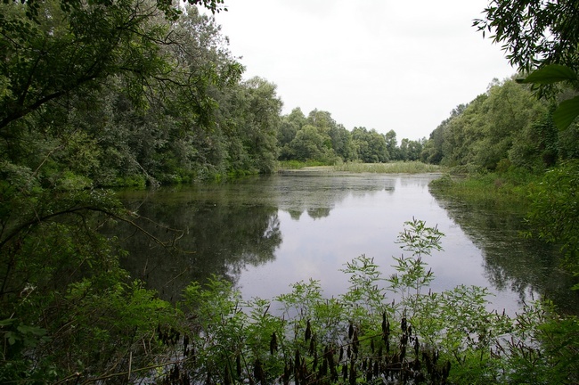Veduta della Bula di Asti