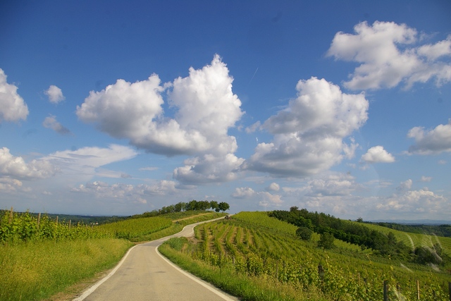 Veduta dello straordinario paesaggio viticolo di Castagnole Monferrato, autorevolmente candidato a divenire Patrimonio universale dell'Umanità, attraverso il riconoscimento dell'UNESCO.