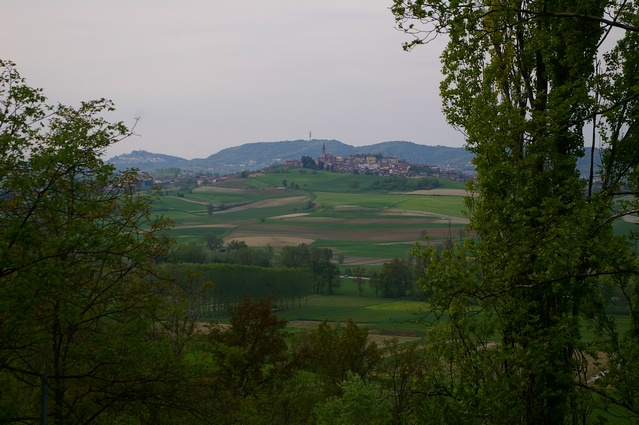  Veduta dello stupendo paesaggio agrario percepibile dalla Chiesa romanica di Santa Maria della Neve a Castell'Alfero.