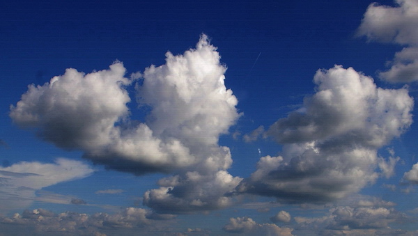 Volare alto!