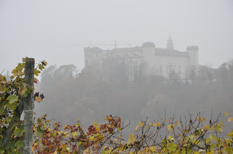 Veduta del Castello di Costigliole d Asti.