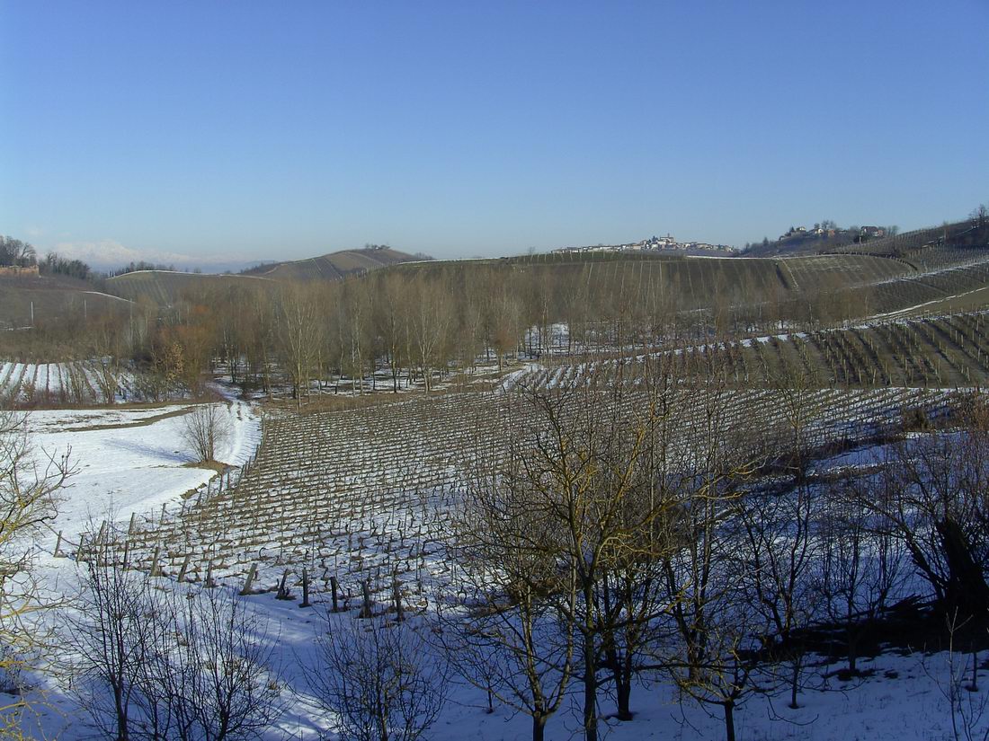 Veduta dello straordinario paesaggio agrario di San Marzanotto nella veste invernale, meritevole di forme innovative ed efficaci di salvaguardia (Foto Agnese Argenta).