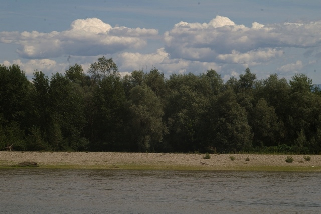 Veduta del fiume Po: corridoio ecologico e culturale tra Piemonte ed Emilia-Romagna.