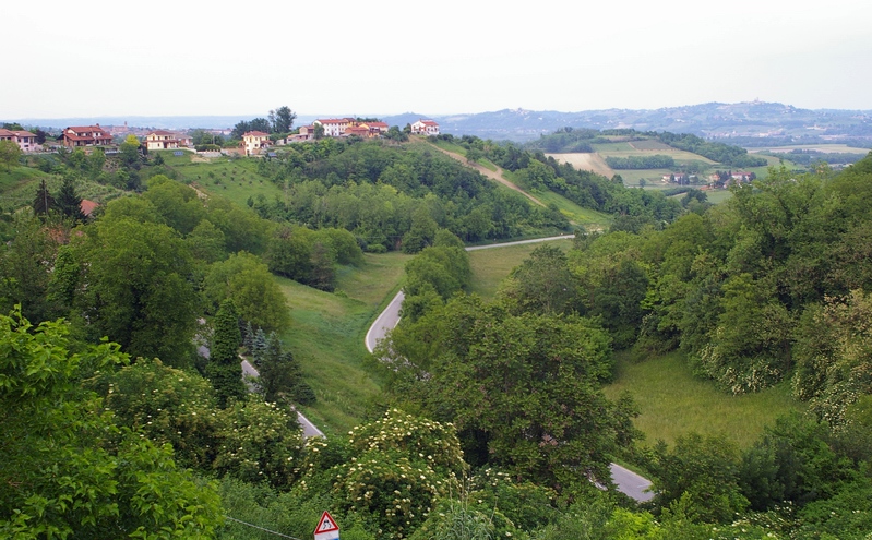 Veduta del pregevolissimo paesaggio agrario di Antignano.