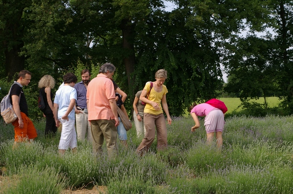 La lavanda nell'Astigiano: visita all'Azienda Benedetta di Viatosto (Asti) nel corso dell'edizione 2009 di Verdeterra.