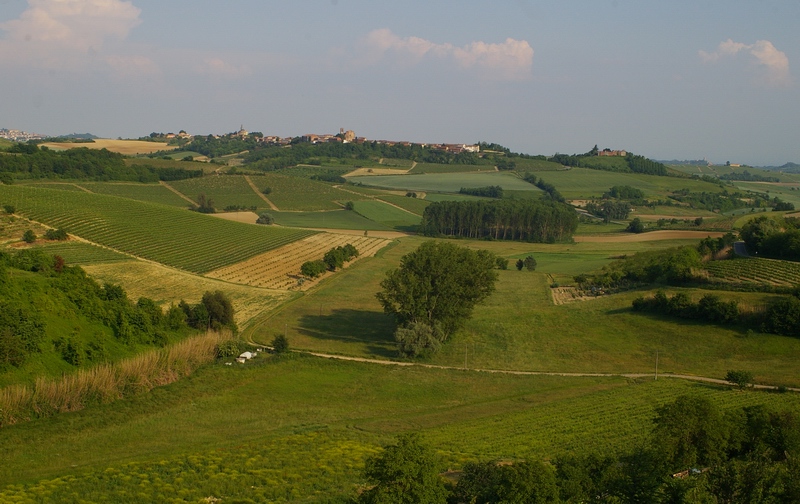 Veduta del paesaggio agrario di Grazzano Badoglio