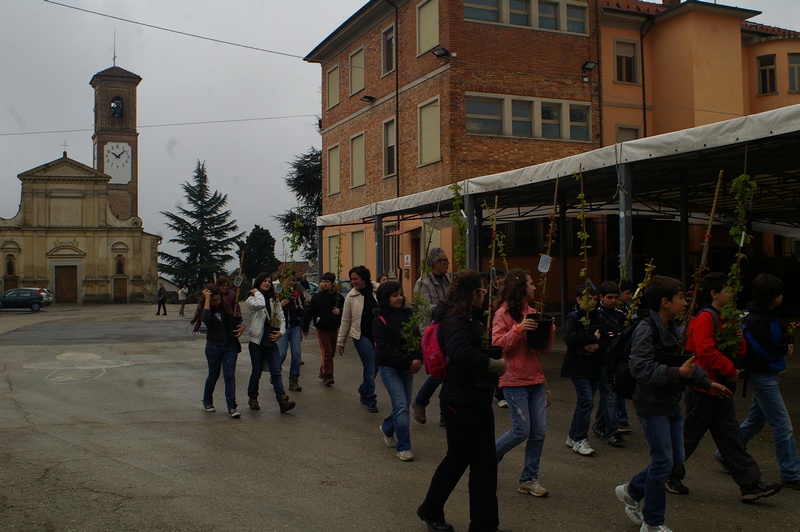 Trasporto delle piantine di rampicanti da parte dei ragazzi della Scuola media di Mombercelli sino ai muri in cemento di Vinchio da rinverdire.