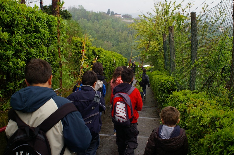 Trasporto delle piantine di rampicanti da parte dei ragazzi della Scuola media di Mombercelli sino ai muri in cemento di Vinchio da rinverdire.