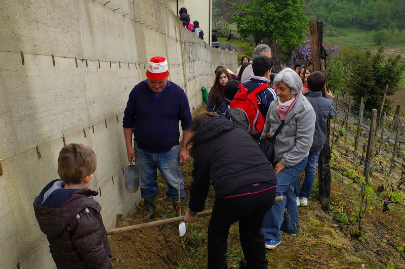 Messa a dimora delle piante di rampicanti alla base del muro in cemento da parte dei ragazzi con l aiuto di Laurana Lajolo.