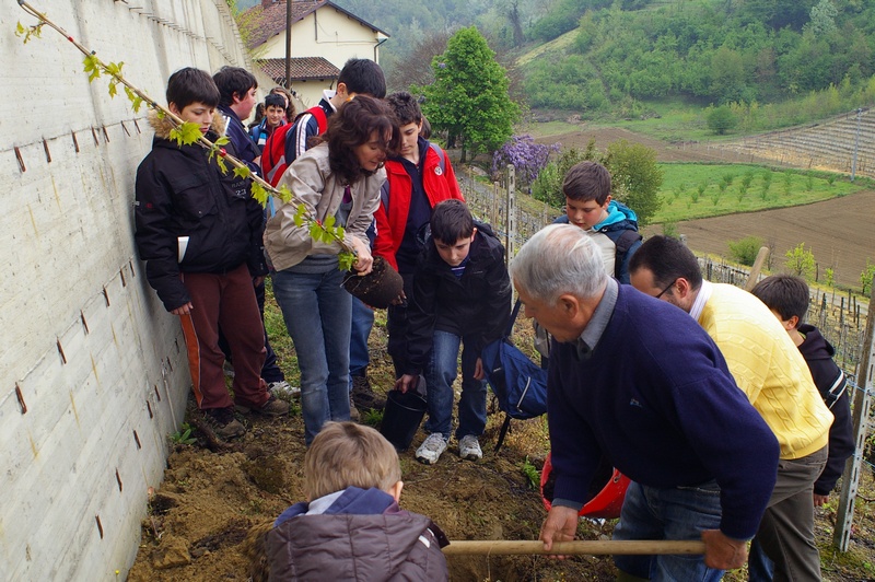 Messa a dimora delle piante di rampicanti alla base del muro in cemento da parte dei ragazzi con l aiuto di Catterina Simonelli.