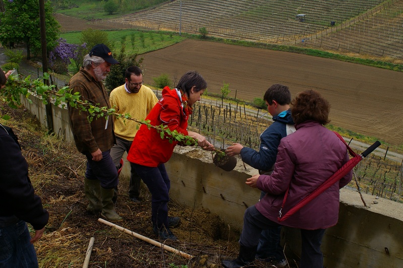Messa a dimora delle piante di rampicanti alla base del muro in cemento da parte dei ragazzi con l aiuto di Paola Grassi, Andrea Laiolo, Claudio Accomo e Mirella Zitti.