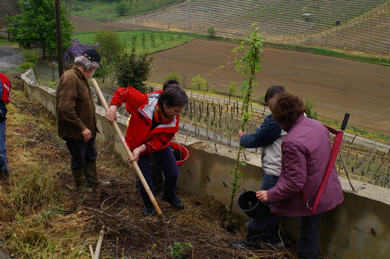 Messa a dimora delle piante di rampicanti alla base del muro in cemento da parte dei ragazzi con l aiuto di Paola Grassi, Claudio Accomo e Mirella Zitti.