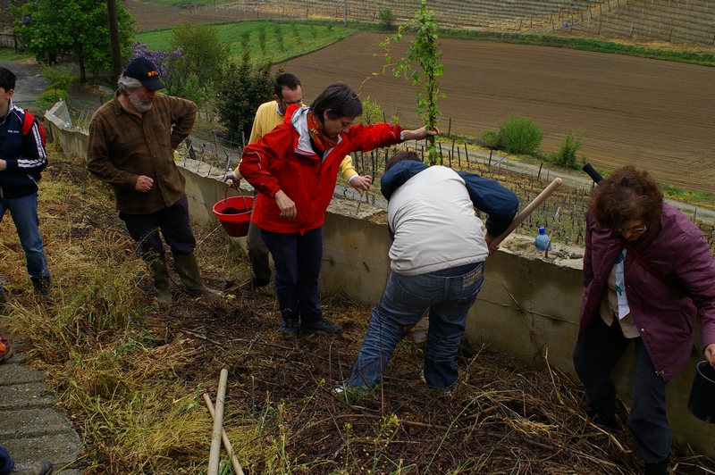 Messa a dimora delle piante di rampicanti alla base del muro in cemento da parte dei ragazzi con l aiuto di Paola Grassi, Andrea Laiolo, Claudio Accomo e Mirella Zitti.