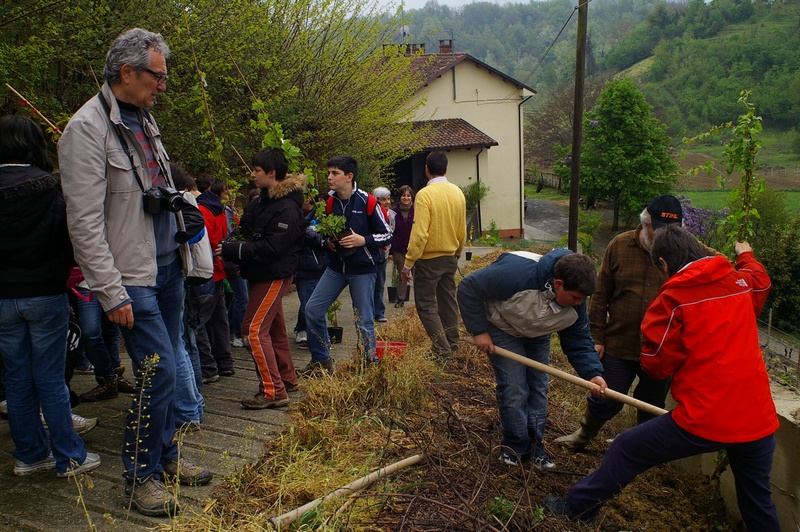 Messa a dimora delle piante di rampicanti alla base del muro in cemento da parte dei ragazzi con l aiuto di Filippo Romagnolo, Paola Grassi, Andrea Laiolo, Claudio Accomo e Mirella Zitti.