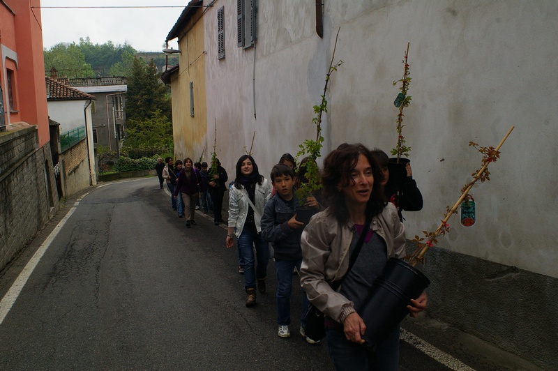 Trasporto delle piantine di rampicanti da parte dei ragazzi della Scuola media di Mombercelli sino ai muri in cemento di Vinchio da rinverdire. Nella foto: Catterina Simonelli.