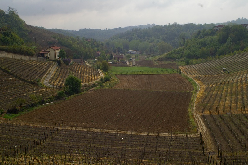 Veduta del bel paesaggio agrario di Vinchio.