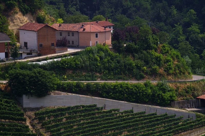 Muro in cemento oggetto dell'intervento di riverdimento con rampicanti per un conveniente inserimento nel  paesaggio.