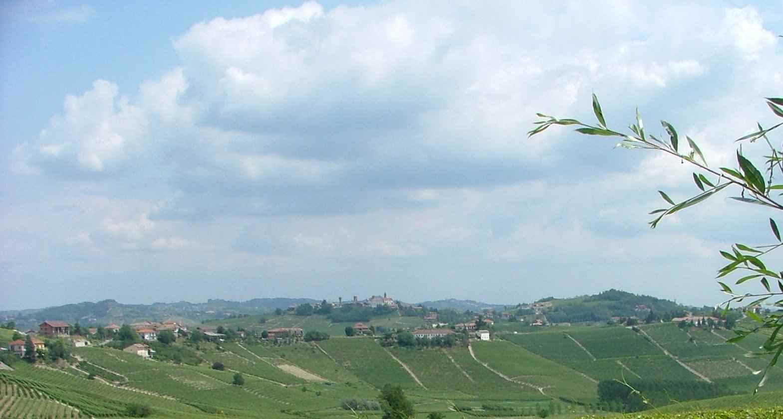 Paesaggio agrario di Canelli