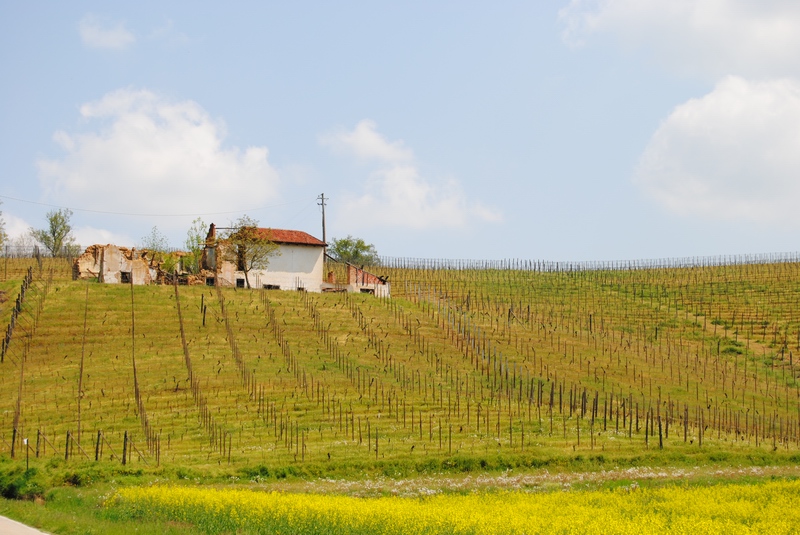 Foto del Comune di Asti (AT) - Frazione di Quarto.