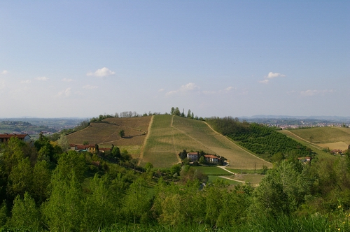 Frazione San Marzanotto