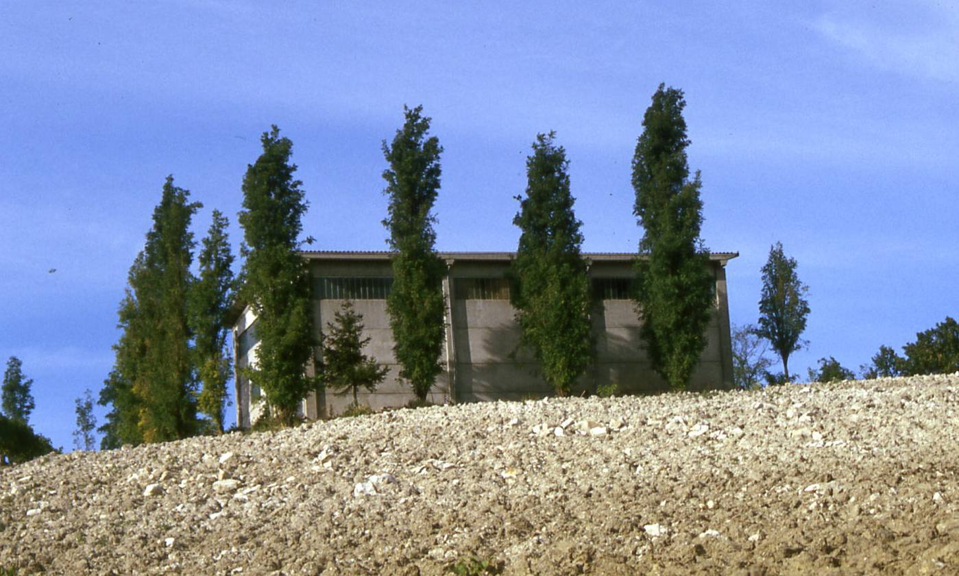 Interessante esempio di mascheramento con la vegetazione di un capannone agricolo (Sarezzano - AL).