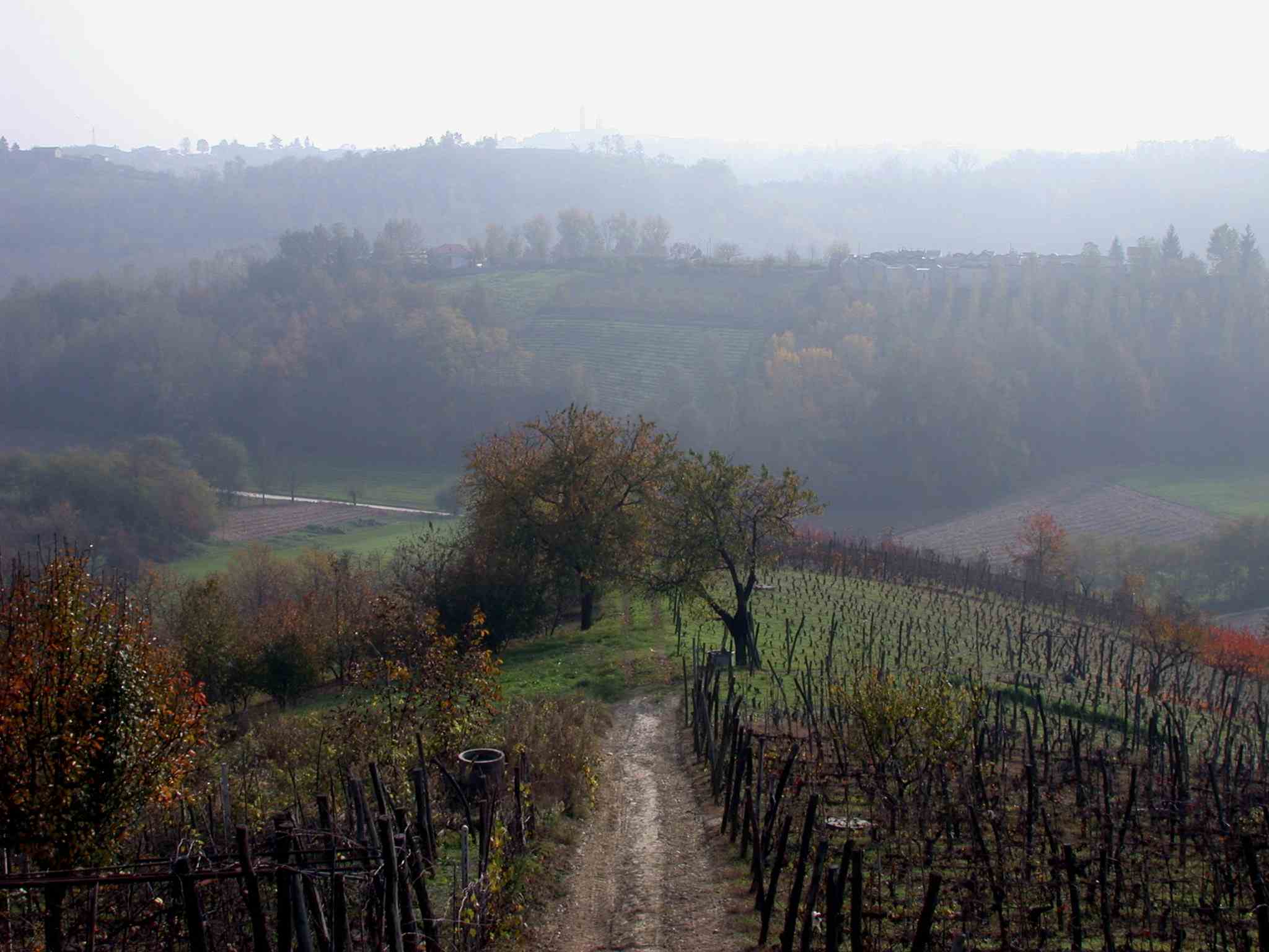 Veduta delle suggestive colline circostanti il paese di Antignano.