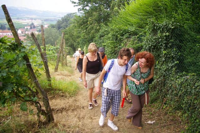 Camminata nello straordinario paesaggio agrario alle porte della città di Asti.