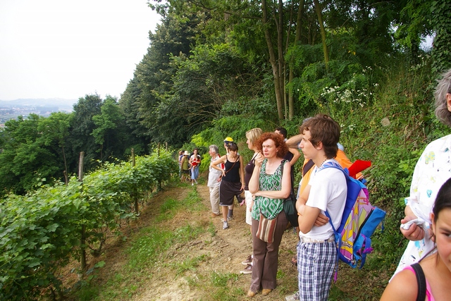 Momento di osservazione del paesaggio lungo il percorso sulla collina di San Iorio ad Asti.