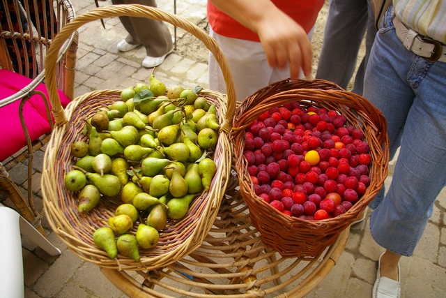 Frutta offerta dall'Ing. Ratti.